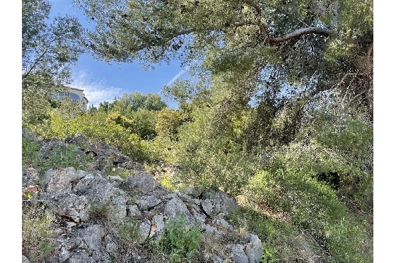 Wohngrundstück in Pego(Monte Pego) zu verkaufen, Grundstück 1603 m², ref.: SC-D0821-5