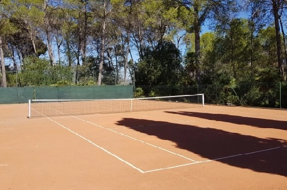 Villa in Gandia zu verkaufen, Wohnfläche 1300 m², Grundstück 200000 m², 20 Badezimmer, ref.: BS-3974641-35