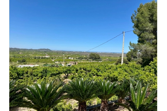 Finca in Pego zu verkaufen, Wohnfläche 45 m², Baujahr 1985, + Ofen, Klimaanlage, Grundstück 4600 m², 2 Schlafzimmer, 1 Badezimmer, Pool, ref.: O-V94614-7
