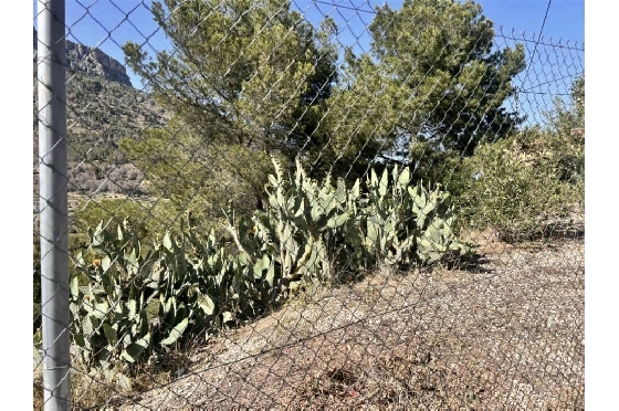 Wohngrundstück in Calpe zu verkaufen, Grundstück 1062 m², ref.: AS-1825-5