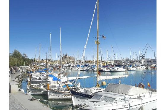Apartment in Palma De Mallorca(Palma centre) zu verkaufen, Wohnfläche 82 m², Grundstück 88 m², 2 Schlafzimmer, 2 Badezimmer, ref.: TW-6-PALMA-25