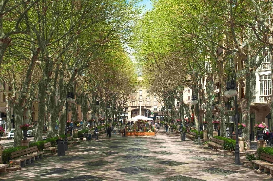 Apartment in Palma De Mallorca(Palma centre) zu verkaufen, Wohnfläche 82 m², Grundstück 88 m², 2 Schlafzimmer, 2 Badezimmer, ref.: TW-6-PALMA-28